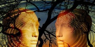 Le ressenti de ce que Vous Êtes Vous amenant à vivre votre réalité en tant que Maître